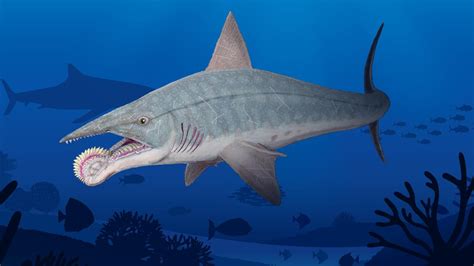 Home Ancient Animals Fish Pet Shark