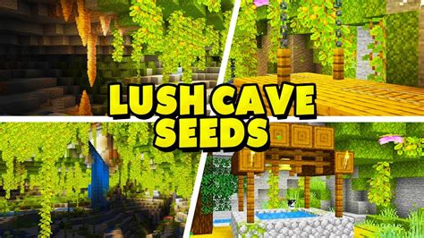 20 Minecraft Lush Cave Seeds Bedrock And Java Edition 118 Youtube
