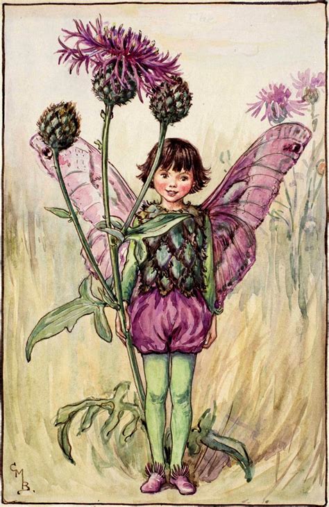 Greater Knapweed Fairy Cicely Mary Barker Flower Fairies Summer