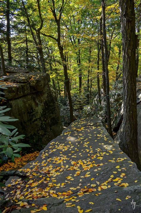 We did not find results for: Coopers Rock State Forest ~ Preston/Monongalia County ...