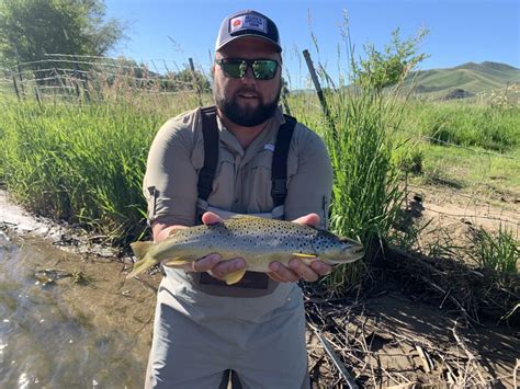 Summer Fly Fishing Utah Fly Fishing Guide Wilderness Trout Expeditions