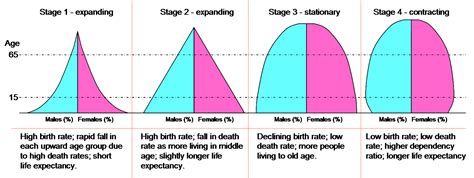 Dtm pyramids - Demographic transition - Wikipedia | Demographic transition, Ap human geography ...