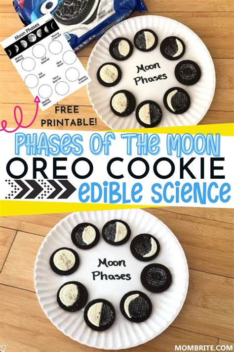 Oreo Cookie Moon Phases Activity Free Worksheet Moon Phases