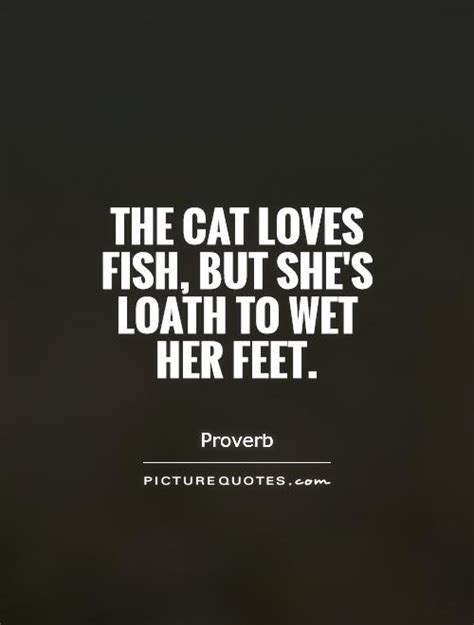 Wet Cat Quotes Quotesgram
