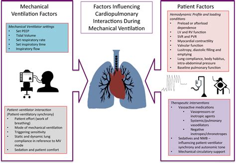 Liberation From Mechanical Ventilation In The Cardiac Intensive Care