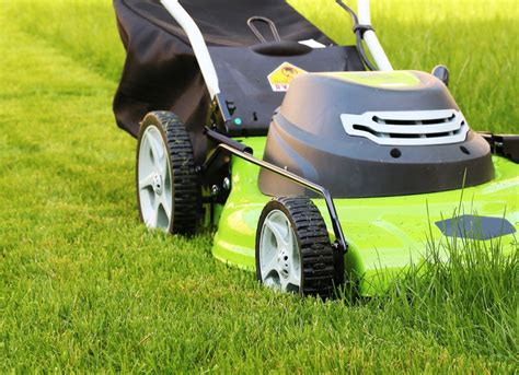 Lawn Problems 7 Things Your Lawn Is Trying To Tell You Bob Vila