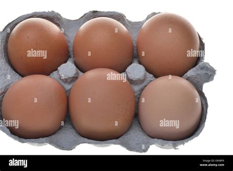 Half Dozen Free Range Eggs Stock Photo Alamy