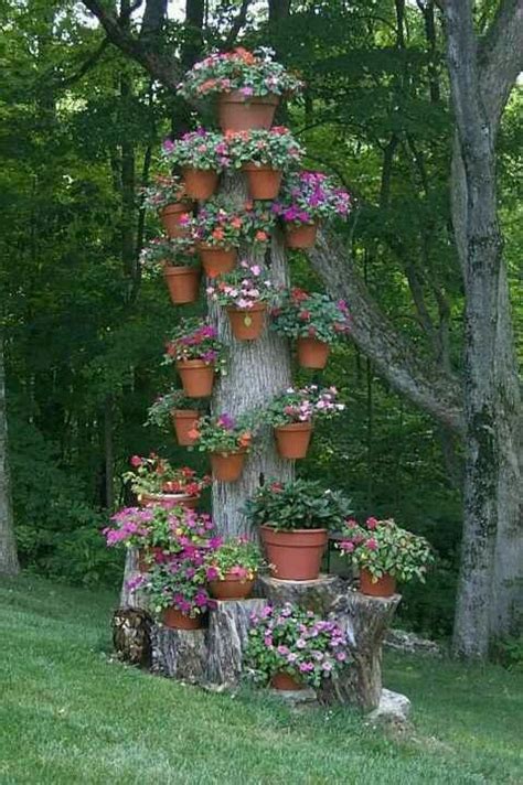 Pin on Gardening/outdoors