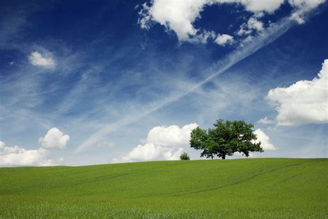 デスクトップ壁紙 日光 木 風景 自然 空 フィールド 緑 朝 キヤノン 地平線 夏 リトアニア 高原 草原