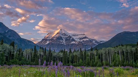 Скачать обои природа горы Mount Robson Canadian Rockies British