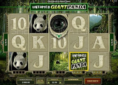 Untamed Giant Panda Spielen Spaß Haben Und Gewinnen