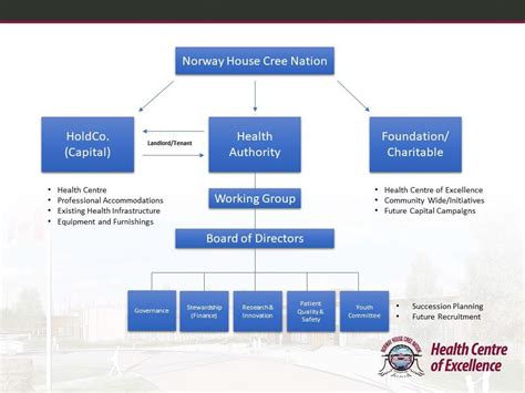 Nhcn Governance Nhcnhealthcentreca