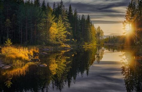 Landscape Photography Nature Forest Fall River Calm Waters