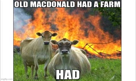 Image Tagged In Cows Imgflip