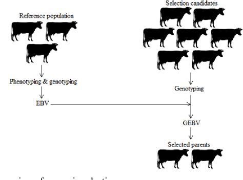 Figure From Control Of Inbreeding In Dairy Cattle In The Genomic Era Semantic Scholar