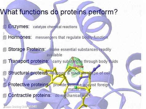 The Functions Of Proteins Macromolecules Pinterest