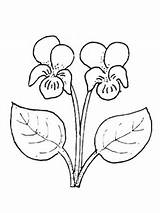 Violet Flower Coloring Pages Supercoloring sketch template
