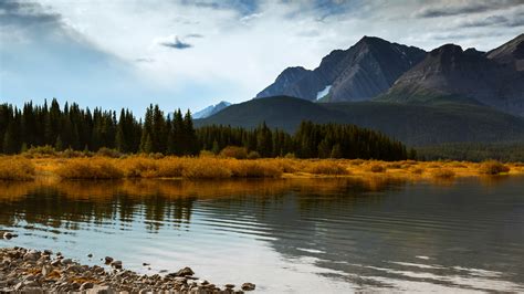 1920x1080 Mountains Lake Forest Canada Coolwallpapersme