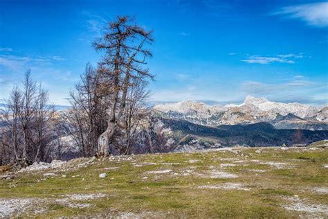 Triglav National Park Slovenia Stock Photo Image Of Environment