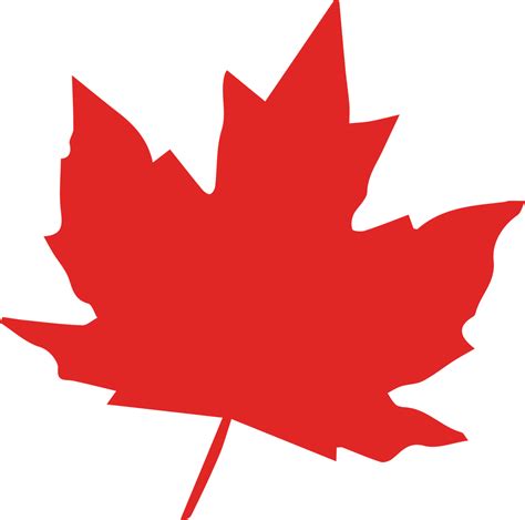 Maple Leaf SVG Cut File - Snap Click Supply Co.