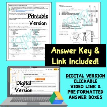 This video has a handout: Amoeba Sisters Video Recap Alleles And Genes Worksheet - Amoeba Sisters Video Recap Dihybrid ...