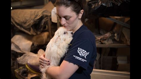 Puppy Mill Rescue Maryland Puppy Mill Rescue We Need You Now The