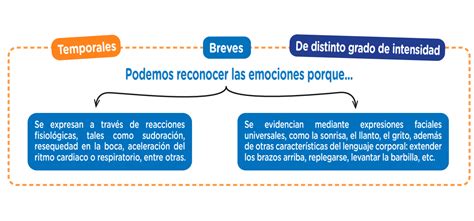 Dpcc Y Eda Actividad Secundaria Tarea Docente