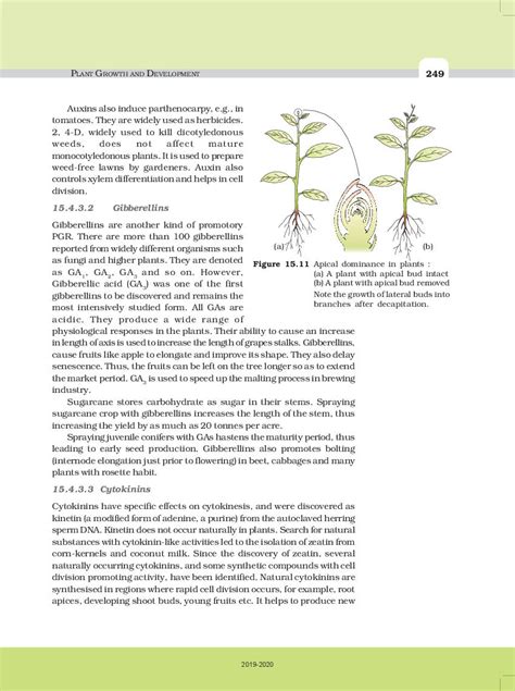 Cbse Class 11 Biology Chapter 15 Plant Growth And Development Cbse