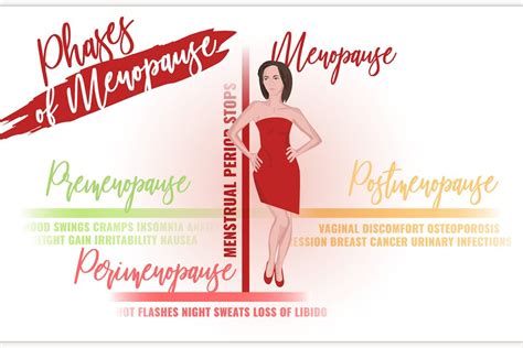 Stages Of Menopause Infographic Creative Daddy