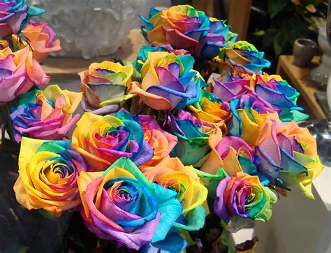 Flower Pa News How To Make Rainbow Roses