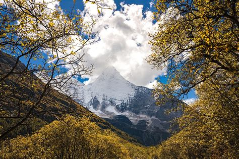 Yang Maiyong Of Yading Snow Mountain In Daocheng In Autumn Background