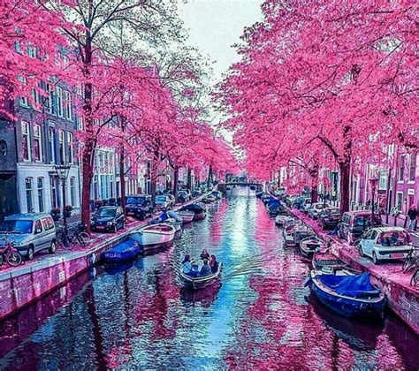 Netherlands Amsterdam Photos Wonderful Places Beautiful Nature