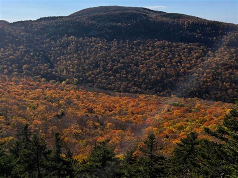 Meet The Leaf Squad Volunteer Vermonters Who Help Create Fall