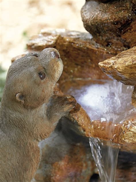 Otter Pools Water Feature