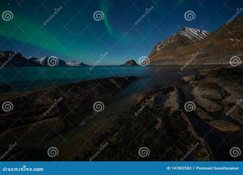 Aurora Borealis Or North Light Over Haukland Beach Lofoten Archipelago