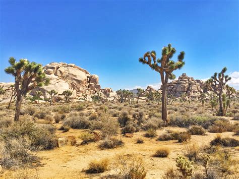 Lost Horse Mine Hike In Joshua Tree National Park Foodie Loves Fitness