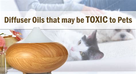 These oils are toxic whether ingested by mouth or spread on the skin. Common Diffuser Essential Oils that may be Toxic to Dogs ...