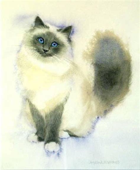 Siamese Cats Cats And Kittens Illustrations Illustration Art Birman