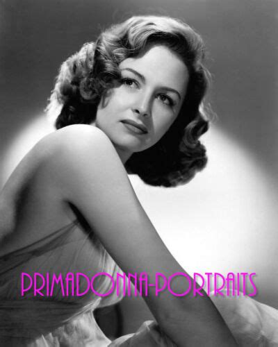 Donna Reed 8x10 Lab Photo 1940s Elegant Graceful Movie Star Publicity