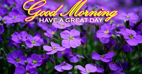 Best Good Morning Images Wishes Purple Flowers Greetings Free Download