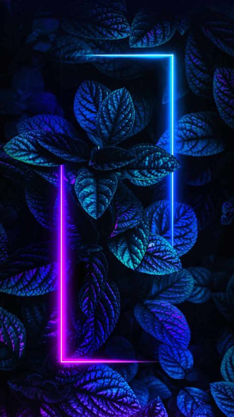 Foliage Neon Nature Iphone Wallpaper Iphone Wallpapers