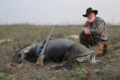 Nilgai - Hornady Manufacturing, Inc