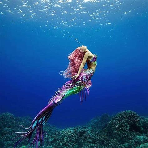 Is #mermaidmonday a thing? Mermaid @hannahmermaid @aliciaunderwater #