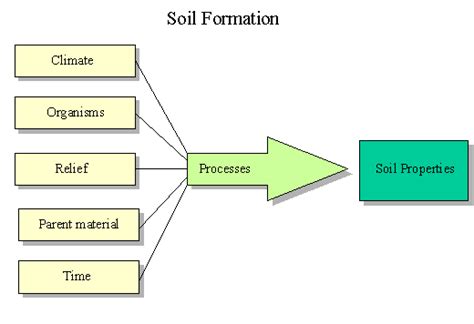 Inherent factors that affect soil ph include climate, mineral content, and soil texture. Conceptos Formales de Suelos: Jenny versus Simonson | Un ...