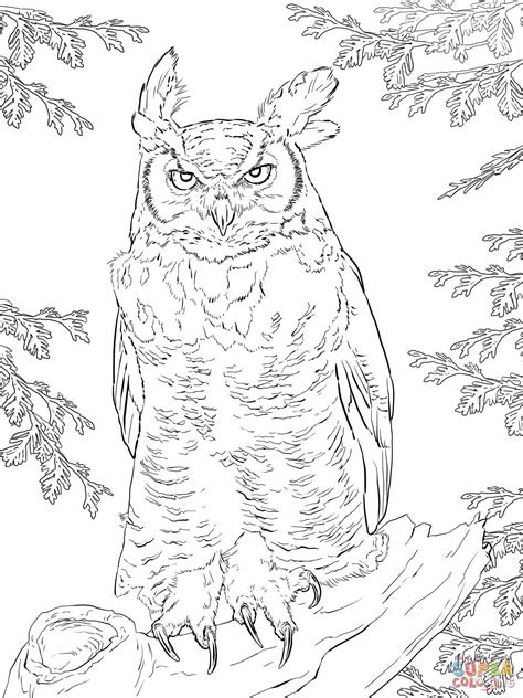 Realistic Great Horned Owl Coloring Page Free Printable Coloring Pages