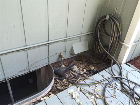 When you have basement moisture, you know it right away. Basement floor absorbing water. Any ideas on solutions ...