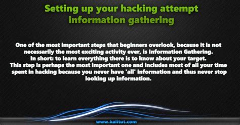 Setting Up Your Hacking Attempt Information Gathering