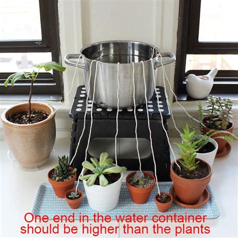 Diy Drip Irrigation For Potted Plants China Diy Automatic Micro Drip