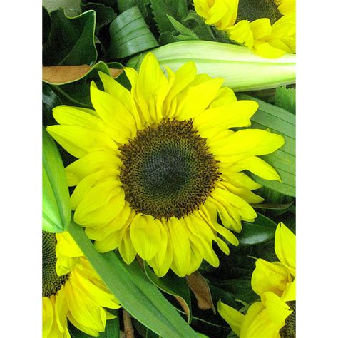 Sunflower And Lilies Bouquet