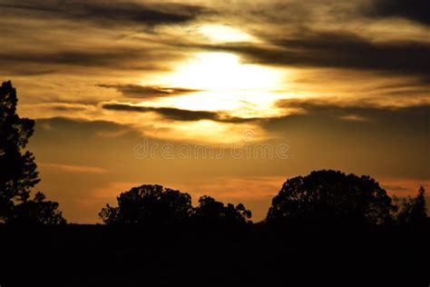 The Divine Golden Desert Sunset Stock Photo Image Of Golden Nature